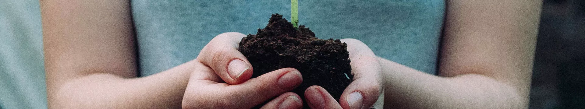 promena-headerbild_01_1920x358.jpg promena-headerbild_01_1920x358.jpg