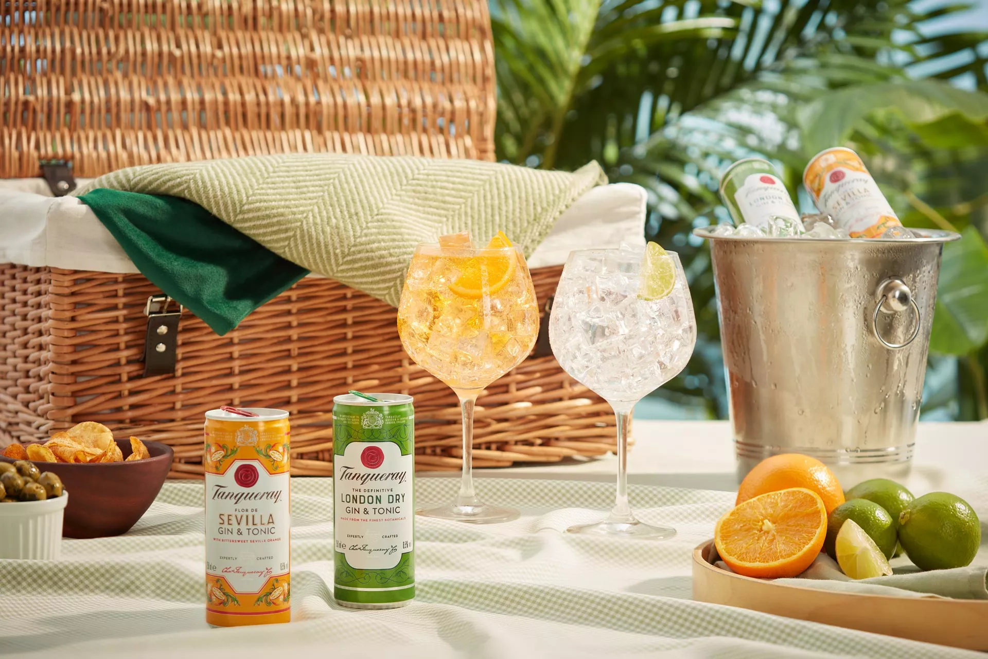 Tanqueray-ready-to-drink-picnic_1920px.jpg Tanqueray-ready-to-drink-picnic_1920px.jpg